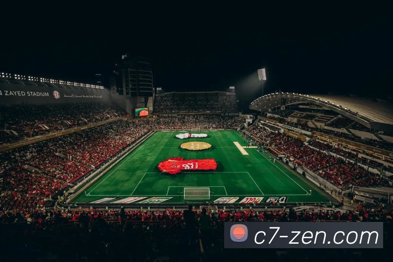 c7娱乐平台生态图